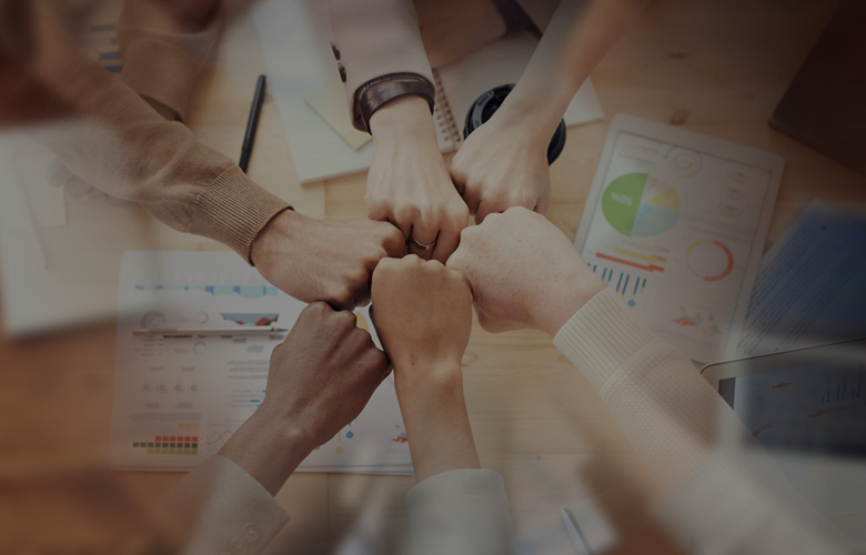 Professional Team & Service