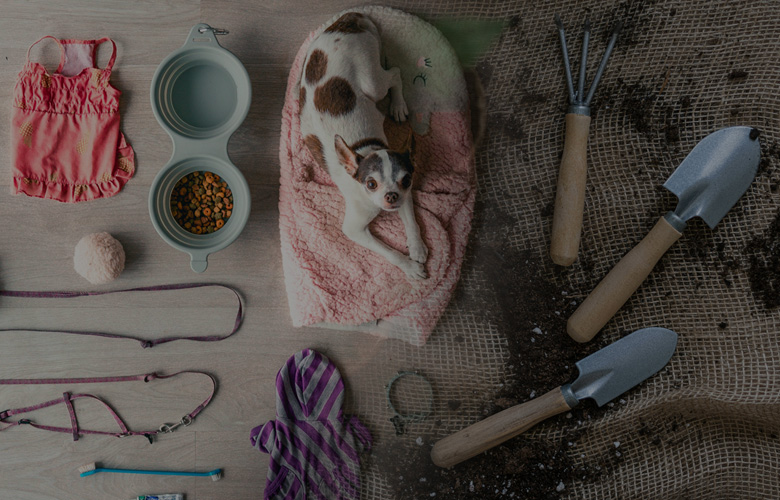 Diversified Product Portfolio