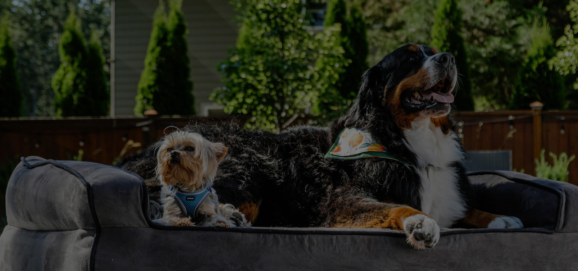 <span>HONGJINGHUI</span> Trading (Changzhou) Co., Ltd.